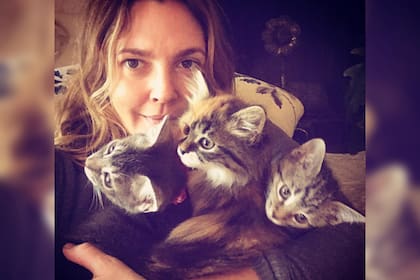Drew Barrymore rescata animales en situaciones vulnerables (Foto Instagram @drewbarrymore)