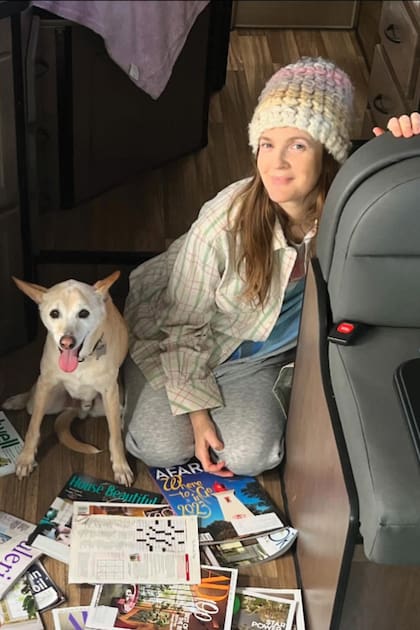 Drew colabora
con ONGs para concientizar sobre el valor de los refugios de
mascotas y la adopción de perros.