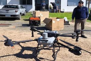 Combaten con drones una peligrosa plaga que provoca pérdidas de hasta el 70% en plantaciones de naranjas y mandarinas