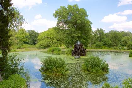Duke Farm, es centro activo de investigación en conservación, que alberga una gran variedad de especies de flora y fauna. Foto: expedia.