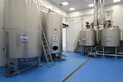 Los hermanos Caro tienen dos plantas en España y 50 empleados.