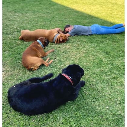 Dulko se mostró amante de los animales