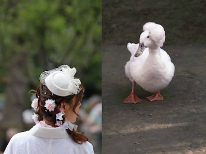 Duplas de personas y animales en "Avistaje", de Clara de Estrada