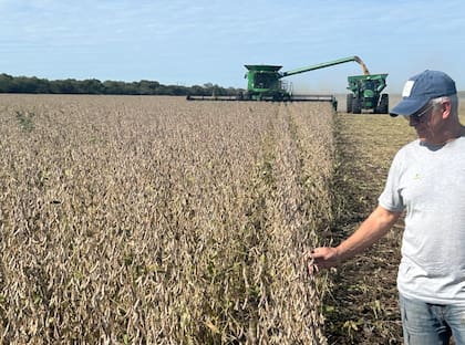 Durante 10 años sembraron campos arrendados hasta que los productores maniseros los desplazaron por la mayor rentabilidad de cultivo. Fue así que decidieron emigrar hacia el este de Santiago del Estero, particularmente hacia la localidad de Quimilí