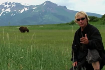 Durante 13 veranos Timothy se instaló en el verano Alaska para cohabitar con los osos grises