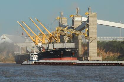 Durante 2018 se abrieron más de 166 mercados