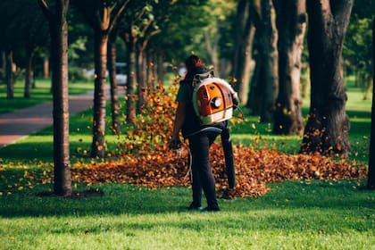 Durante 2020 los sopladores de hojas contaminaron en Pensilvania lo mismo que 10 millones de autos