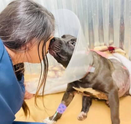 Durante cuatro meses, recibió cuidados intensivos y peleó por su vida.