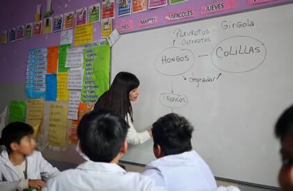 Durante el experimento intentaron replicar lo que el hongo hace de forma natural con el tronco de un árbol