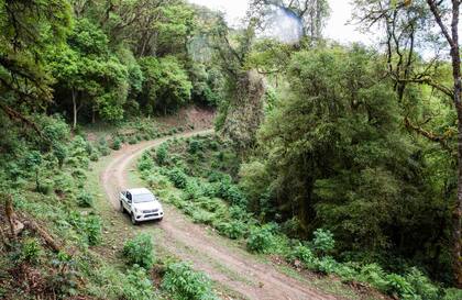 Durante el recorrido por el Parque Nacional Baritú con Federico Norte.