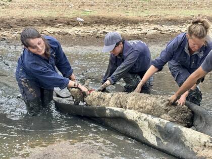 Durante el rescate, se utilizó una alfombra vieja a modo de canoa.