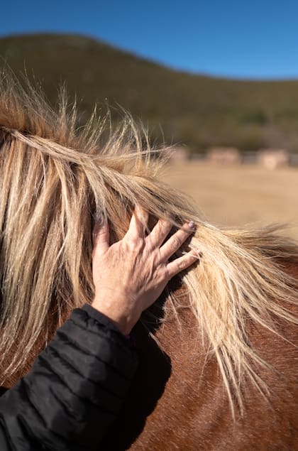 Durante esta novedosa dinámica se arma un binomio emocional: el caballo refleja aquello que está descalibrado en la persona
