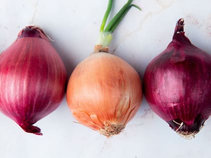 Durante generaciones, la cebolla ha sido parte de los remedios caseros tradicionales, y hoy la ciencia comienza a respaldar su efectividad
