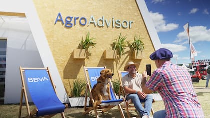 Durante la muestra, productores e inversores se acercaron para conocer la propuesta de BBVA y compartir un espacio pensado también para el disfrute.
