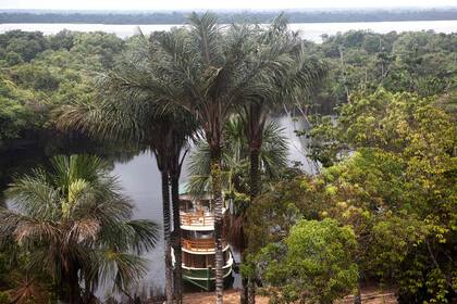 Durante la navegación por los afluentes del río Amazonas a bordo del Jacaré Açu