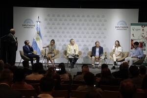 Durante la presentación del informe en el Congreso, los estudiantes contaron su experiencia en el programa Scholas Occurrentes Ciudadanía