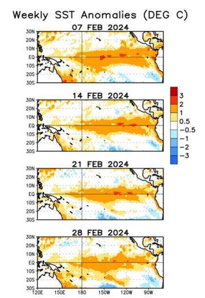 Durante las últimas cuatro semanas, las TSM superiores al promedio se debilitaron en la mayor parte del Océano Pacífico ecuatorial