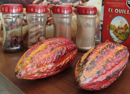 Durante las visitas guiadas se puede aprender sobre los procesos del cacao