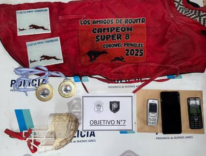 Durante los procedimientos se incautaron armas de fuego, jeringas, medicamentos veterinarios, teléfonos celulares, dispositivos de comunicación (handies), ponchos con inscripciones de campeonatos, medallas y trofeos; todos “elementos que evidencian la existencia de una estructura organizada y persistente”