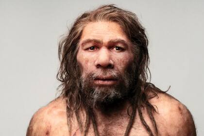 Durante siglos de condiciones apocalípticas los neandertales se extinguieron