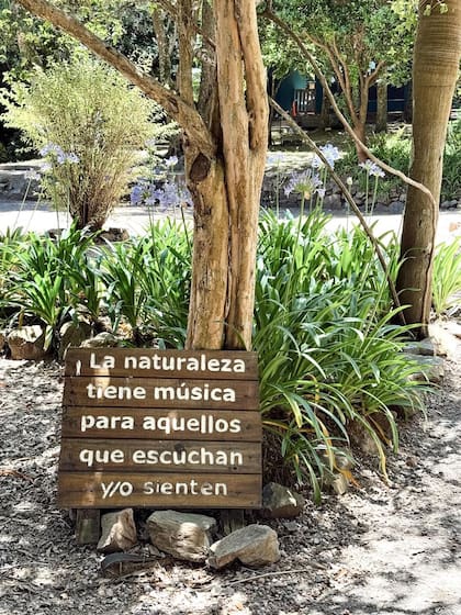 Durante sus vacaciones, la familia aprovechó para hacer actividades al aire libre (Foto: Instagram @soficalzetti)
