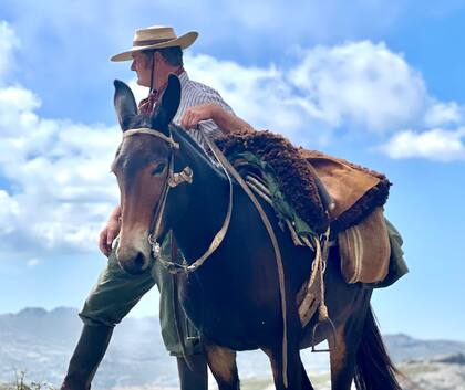 Durante tres días, expertos de distintos países abordarán su rol en la producción, el transporte, la ciencia y la equinoterapia