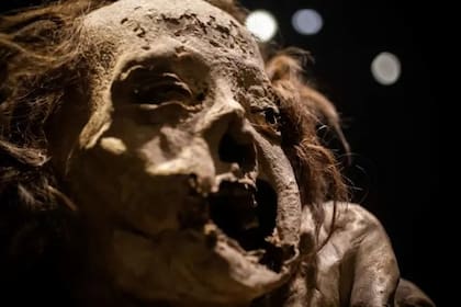 Durante varios años, activistas denunciaron malos manejos de los cuerpos, que han llevado a su deterioro. GETTY IMAGES
