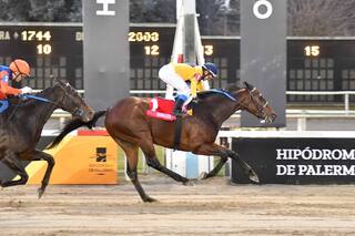 El jockey que volvió justo a tiempo, el caballo que rompe récords y la apuesta millonaria ganadora