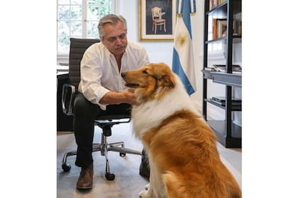 El perro Dylan se hizo famoso durante la campaña presidencial y tiene una cuenta de Instagram a su nombre; juntos, en Olivos