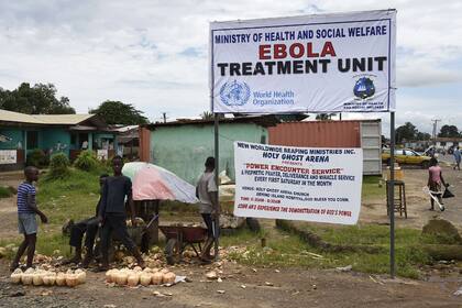 En Monrovia, Liberia, unos chicos venden cocos en las inmediaciones de un centro de tratamiento de Ébola; es el país con más afectados
