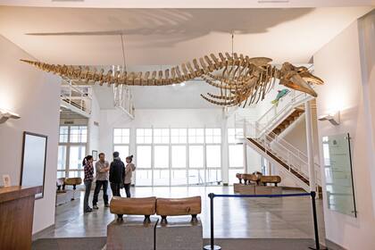 Ecocentro. Puerto Madryn.