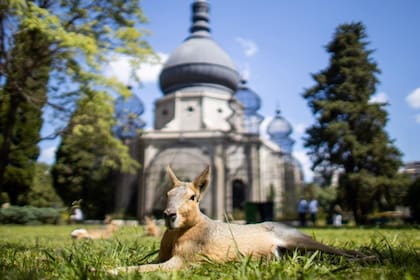Ecoparque en Buenos Aires