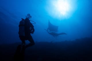 Ecosistema en Indonesia amenazado por industria de la minería