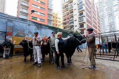 Edgar García, de cabaña El Porvenir, Fabián Torres, de cabaña La Paz, y Mónica Schmale, de la cabaña Don Federico