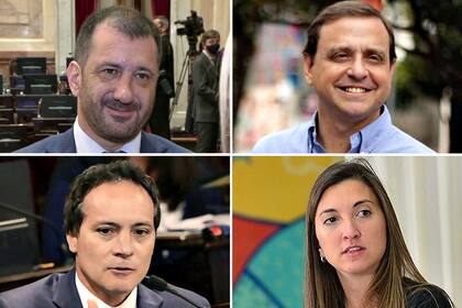 Edgardo Kueider (Entre Ríos), Guillermo Snopek (Jujuy), Carlos Espínola (Corrientes) y María Eugenia Catalfamo (San Luis)