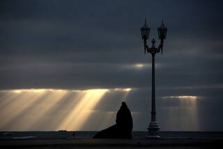 La otra mirada: desde Mar del plata a Washington