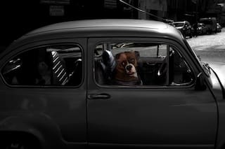 La otra mirada: un helicóptero de arena en Gran Bretaña, volar por las nubes en Iowa y un boxer en un Fitito
