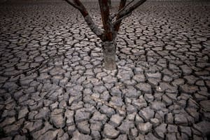 La Niña, a secas