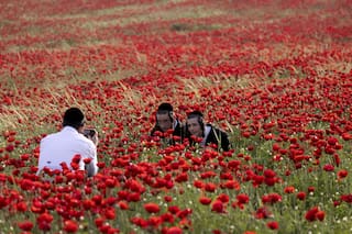 De Estambul a Mar del Plata, pasando por Caracas y La Habana