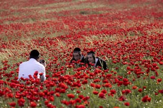La otra mirada: cinco fotos elegidas para reflexionar