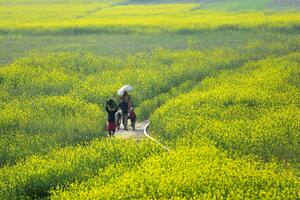 edición fotográfica de Dante Cosenza
