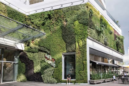 Edificio La Palmera. Las especies vegetales se seleccionaron de acuerdo con el asoleamiento de cada fachada. Se usaron: tradescantias (varias especies), Plectranthus (P. purpuratus, P. madagascariensis, P. australis, P. neochilus), Tulbaghia violacea y Hemerocallis sp., entre otras.