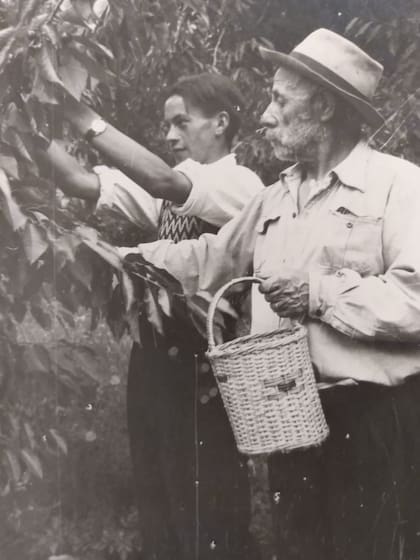 Eduardo Goye trabajando en sus frutales