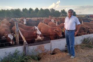 Ganadería de precisión: genómica, big data e inteligencia artificial