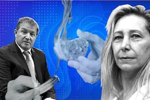 Eduardo Serenellini y Karina Milei