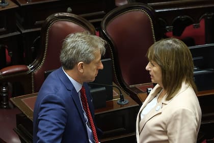 Eduardo Vischi (UCR) y Patricia Bullrich