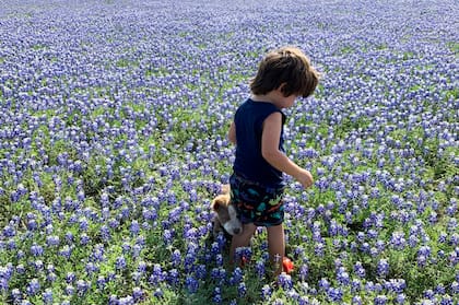 "Educar, aprender, nutrirse, es mucho más que ir al mejor colegio o universidad, es, para nosotros, enseñarles a nuestros hijos a ser buenas personas, a vivir de manera consciente, presente, empática, en contacto con la naturaleza, con lo simple..."
