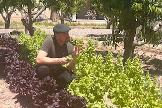 El maridaje que marca tendencia en Mendoza