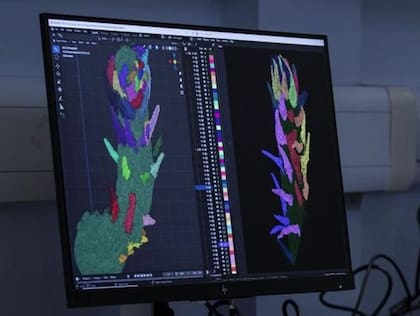 EE. UU. tienen el mayor aumento en las tasas de inscripción de estudiantes de ingeniería de pregrado, superando las tasas de crecimiento de cualquier otro grupo étnico entre 2010 y 2021