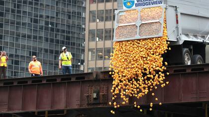 EE.UU.: 60 mil patitos de goma compitieron en la Rubber Duck Derby en Chicago